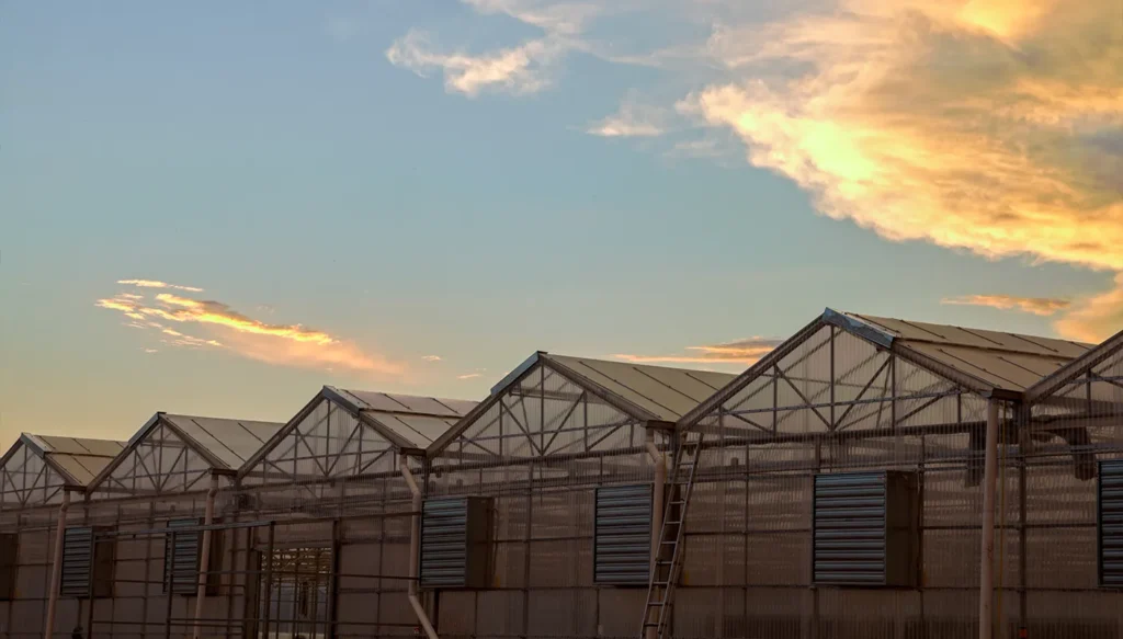 Greenteque_project_Mid-Tech-Greenhouses_03