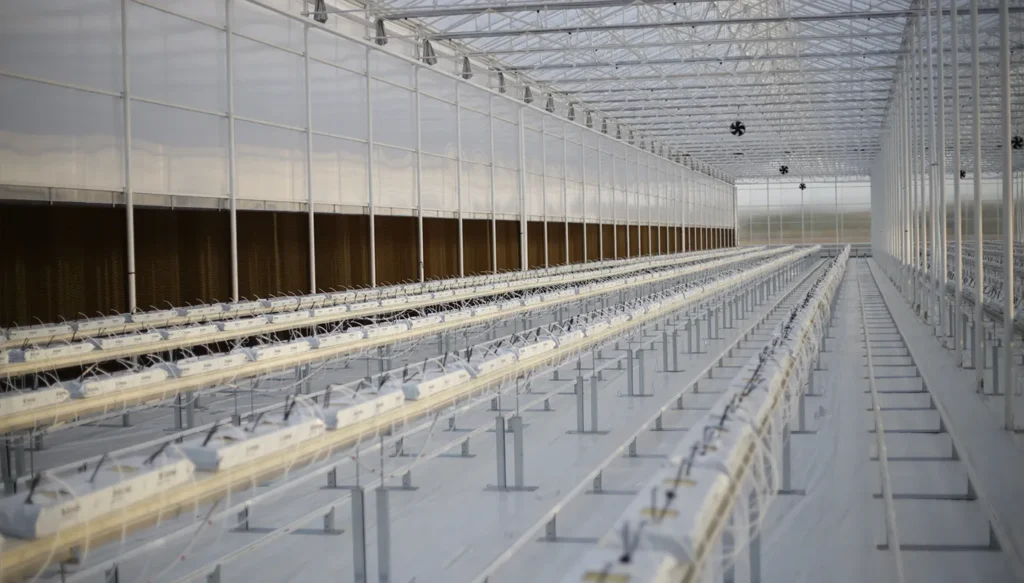 Greenteque_project_Mid-Tech-Greenhouses_05