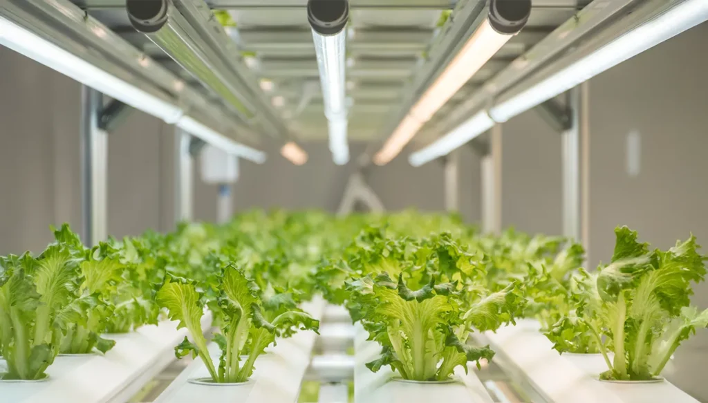 Greenteque_project_Vertical-Farming_02