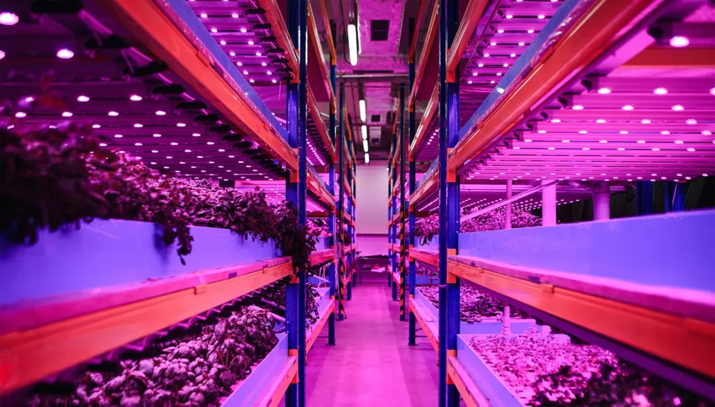 Greenteque_project_Vertical-Farming_033